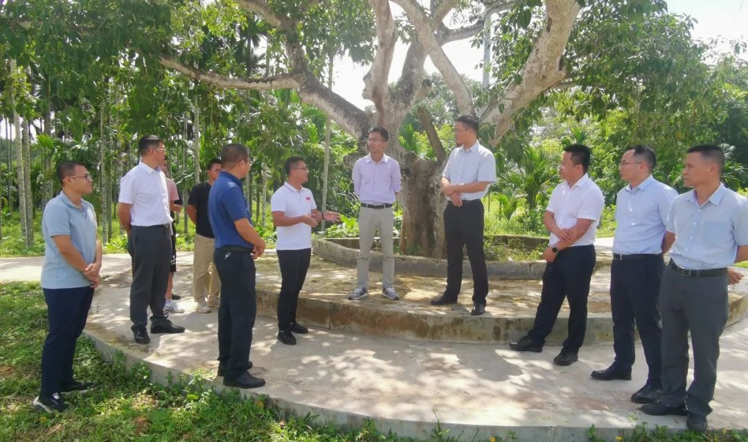 NG大舞台,有梦你就来