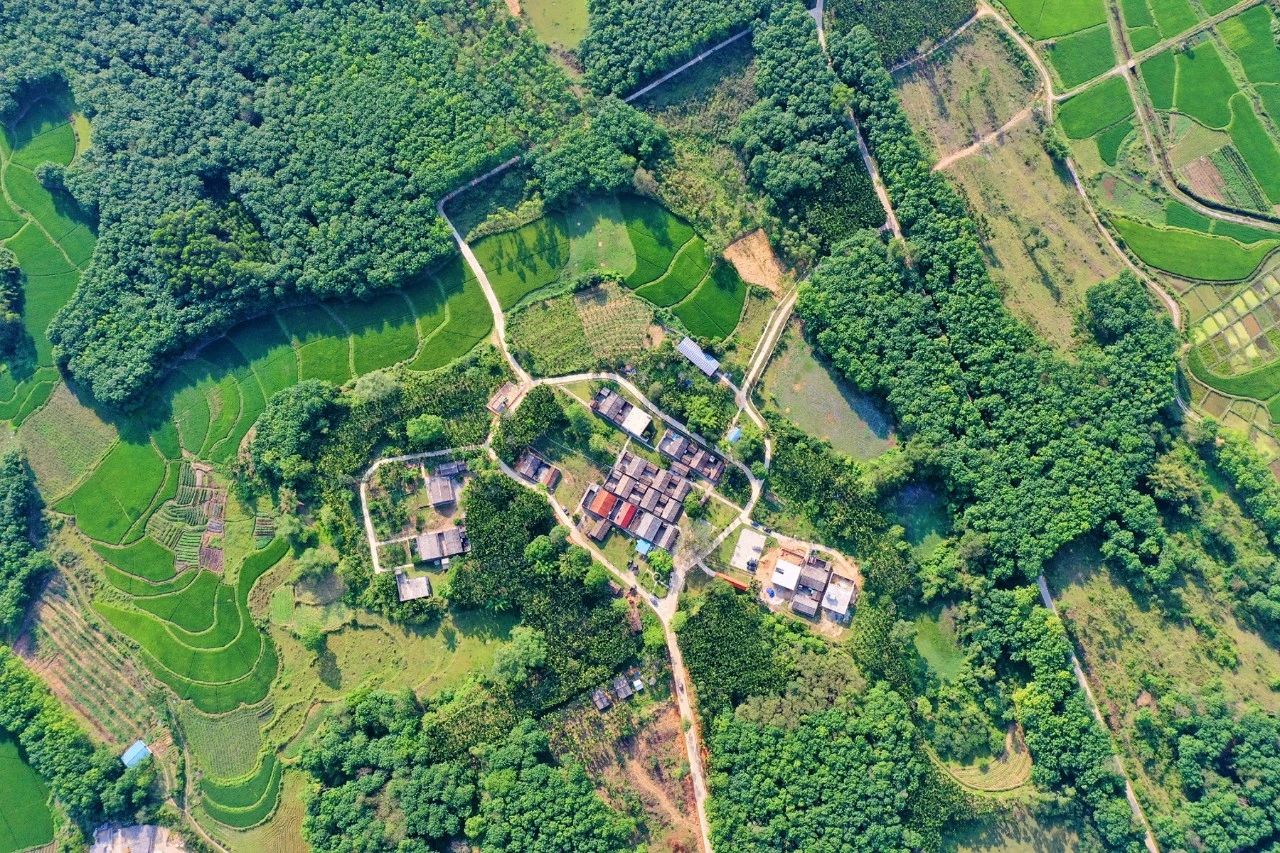 NG大舞台,有梦你就来